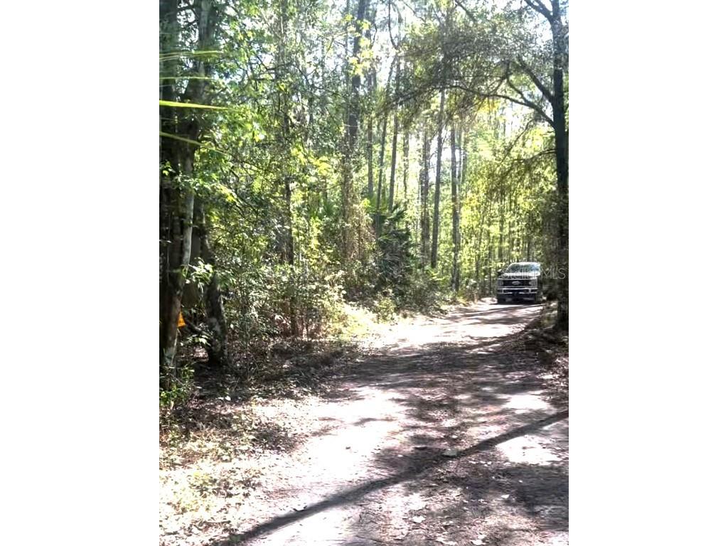 000 Dean Still Road Davenport FL 33897 O6315439 image7