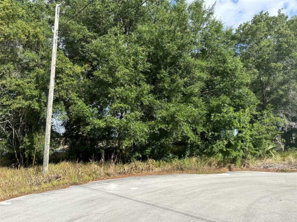 000 Dogwood Run Ocala FL 34472 O6113704 image1