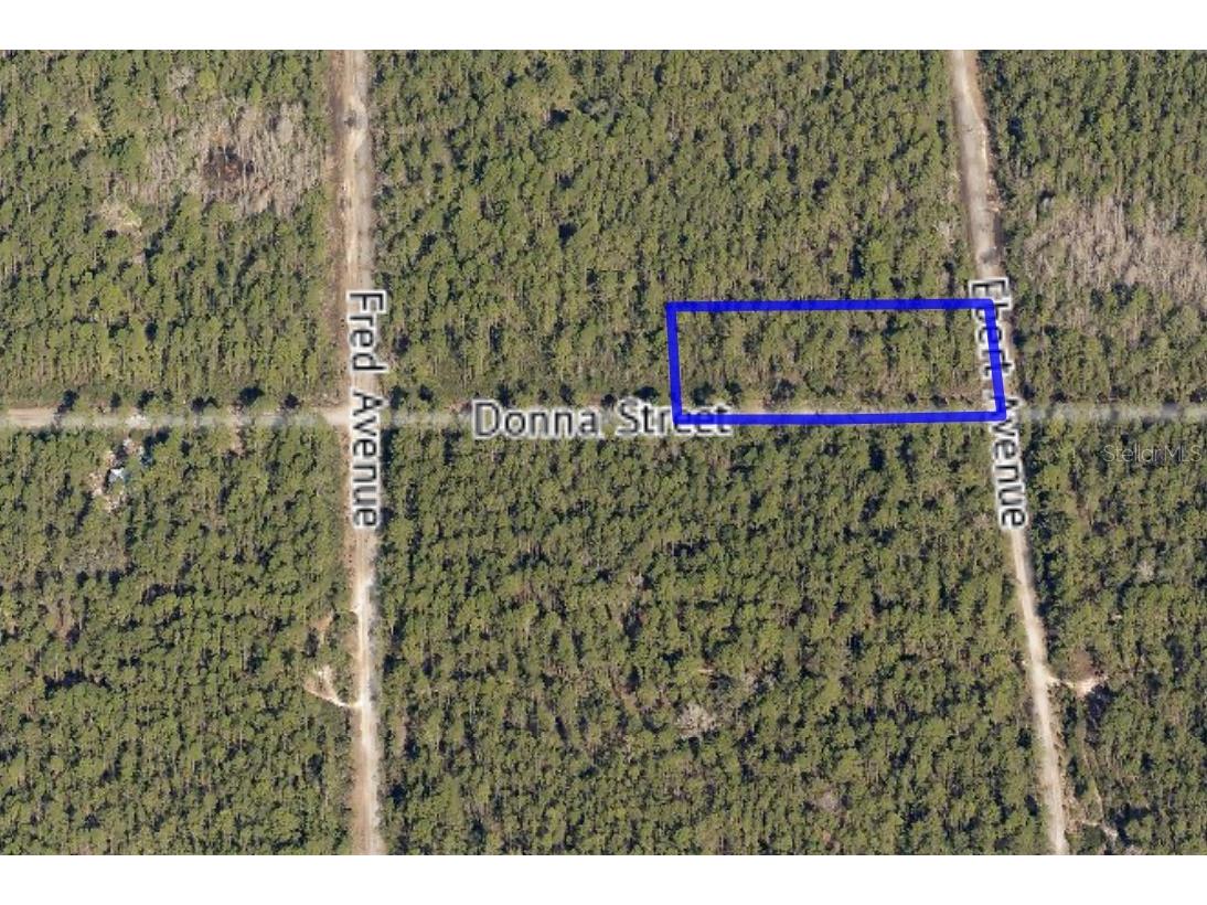 000 Donna Street Hastings FL 32145 GC524457 image1