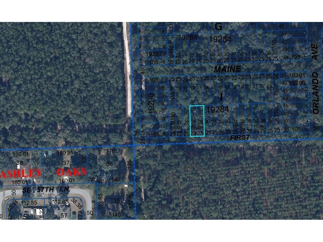 000 First Street Hawthorne FL 32640 A4683905 image1