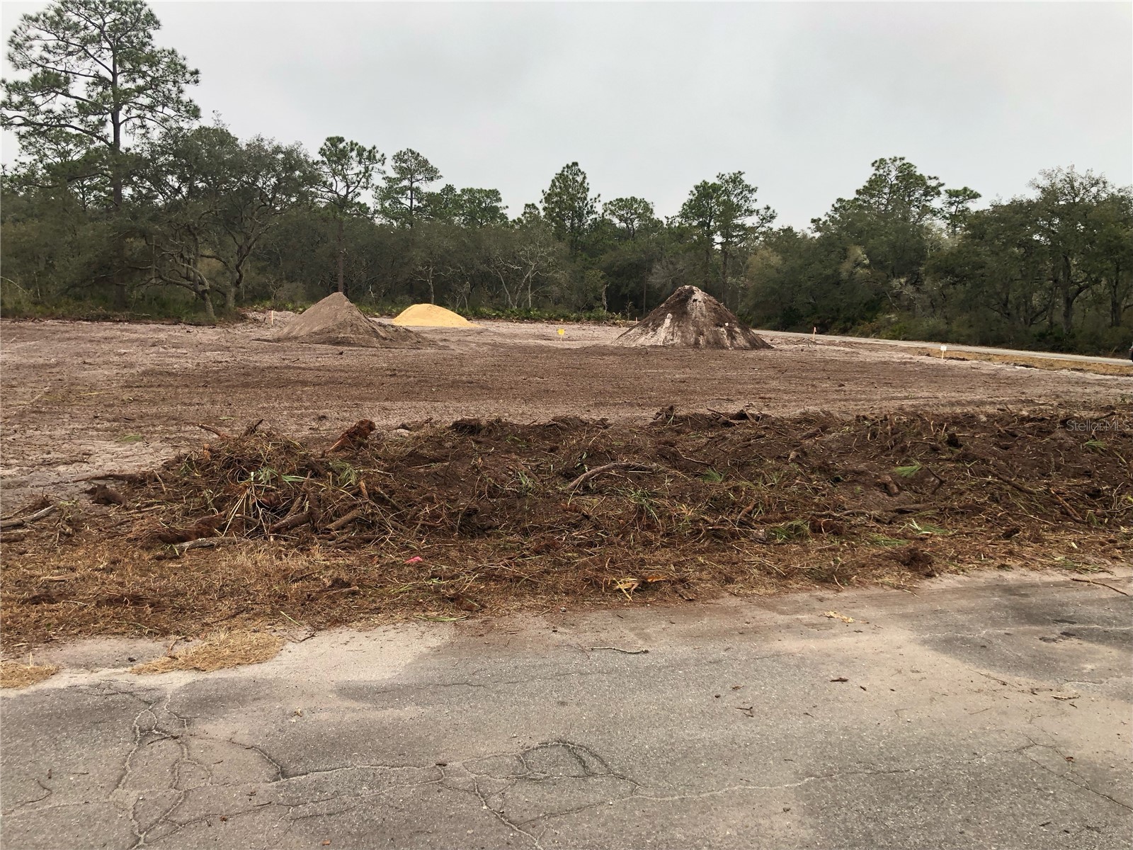 000 Fisher Loop Ocklawaha FL 32179 OM719370 image2
