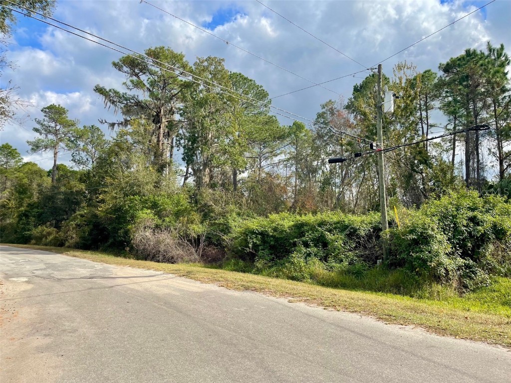 000 Fisher Run Ocklawaha FL 32179 - Bear Lake OM714628 image1