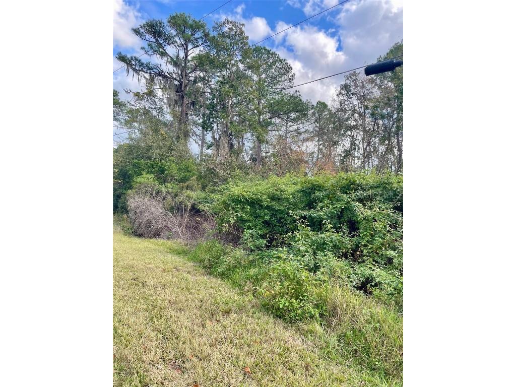 000 Fisher Run Ocklawaha FL 32179 - Bear Lake OM714628 image4