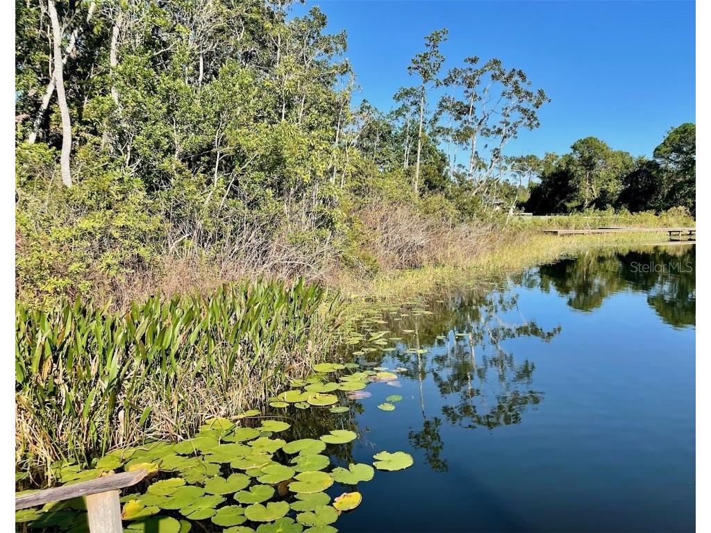 000 Fisher Run Ocklawaha FL 32179 - Bear Lake OM714628 image5