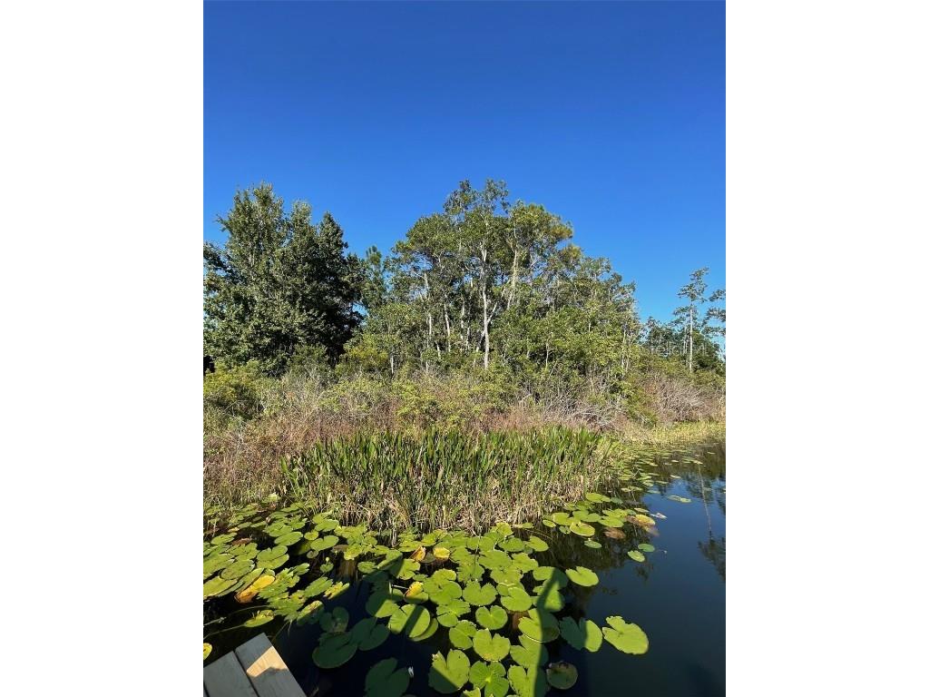 000 Fisher Run Ocklawaha FL 32179 - Bear Lake OM714628 image7