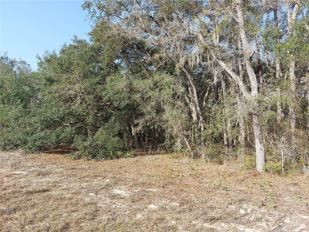 000 Fisher Way Trail Ocklawaha FL 32179 OM654397 image1