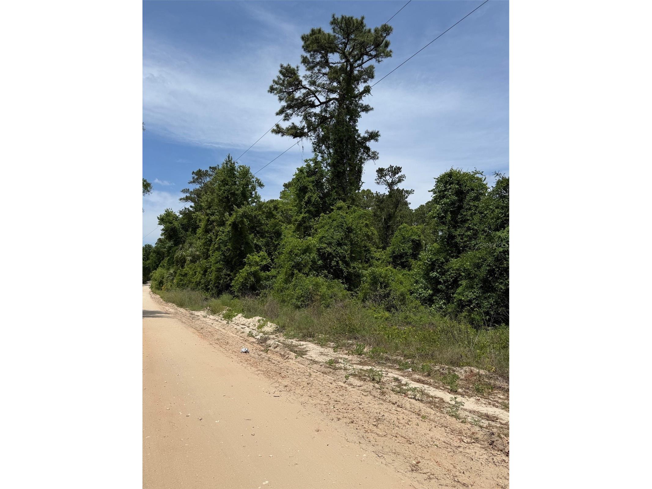 000 Folklore Dr Satsuma FL 32189 G5111580 image3