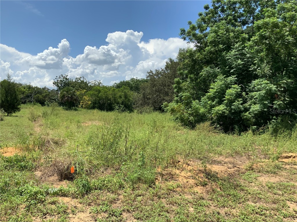 000 Fruitwood Avenue Eustis FL 32726 G5100482 image1