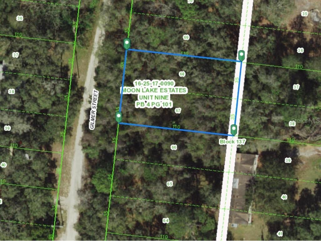 000 Gilmer Street New Port Richey FL 34654 W7876447 image1