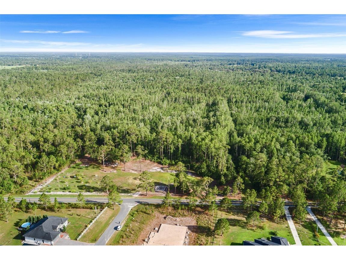 000 Green Pond Road Polk City FL 33868 L4953717 image4