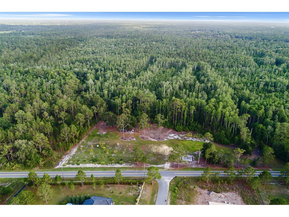 000 Green Pond Road Polk City FL 33868 L4953717 image9