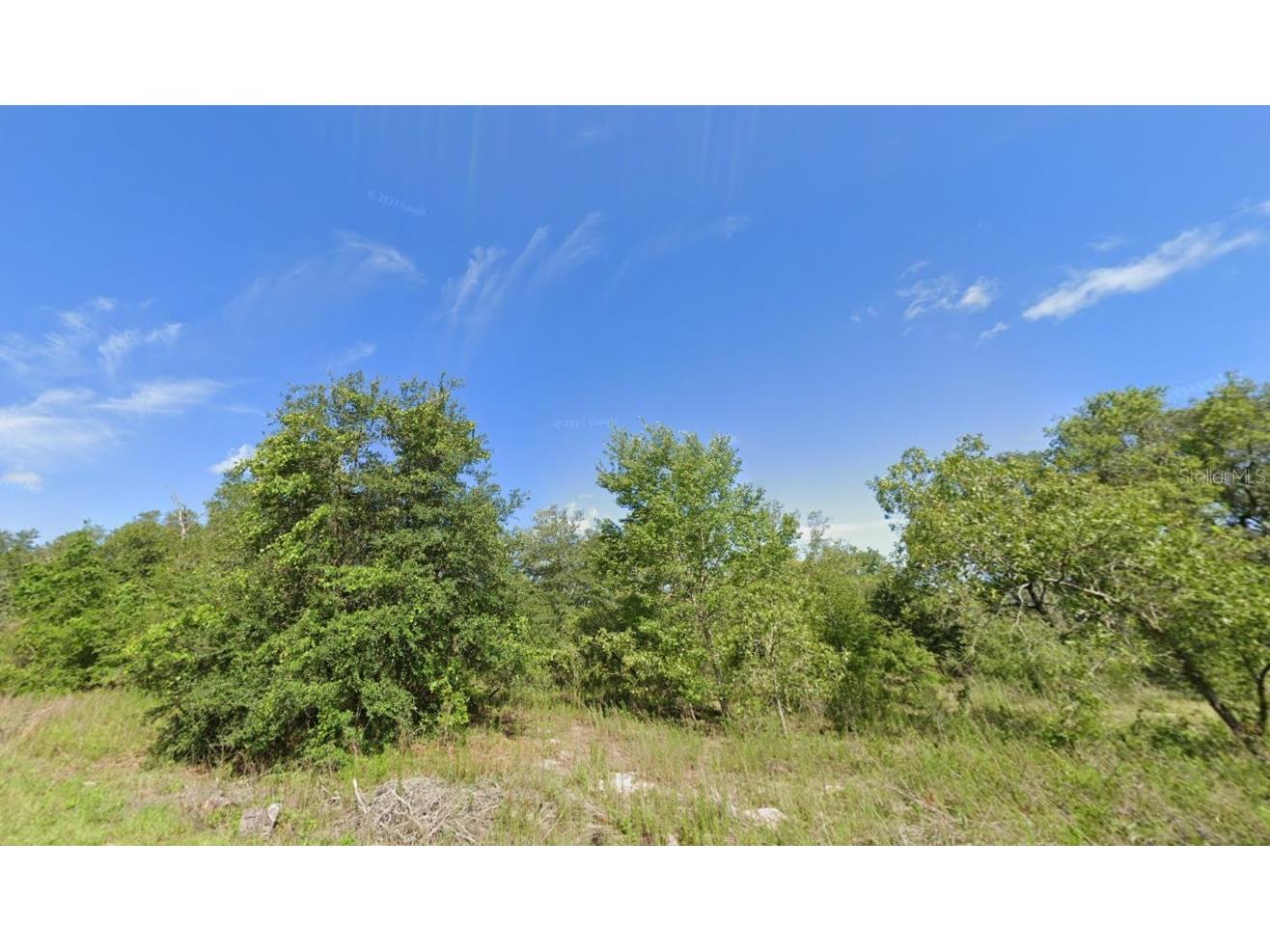 000 Guava Lane Course #13 Ocklawaha FL 32179 G5089222 image1