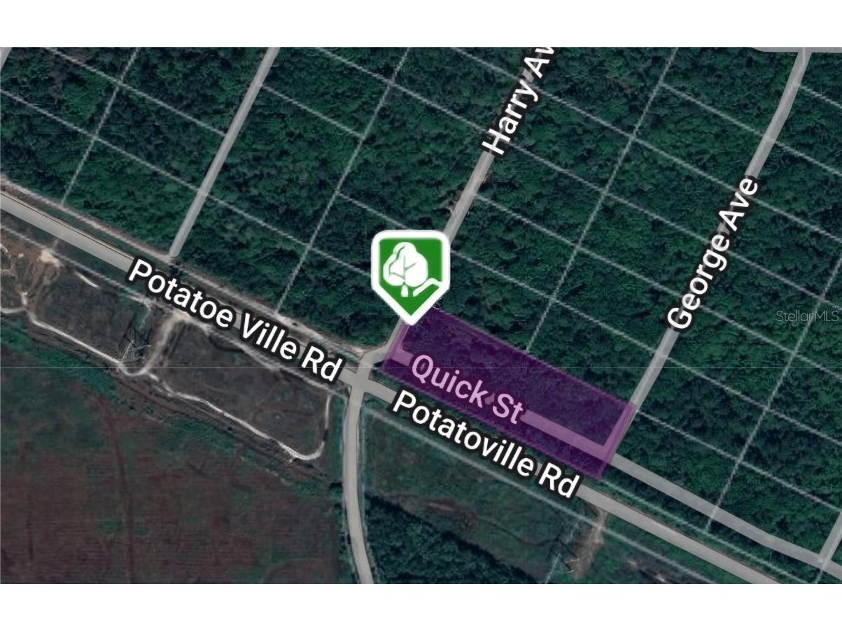 000 Harry Avenue Hastings FL 32145 OM687855 image1