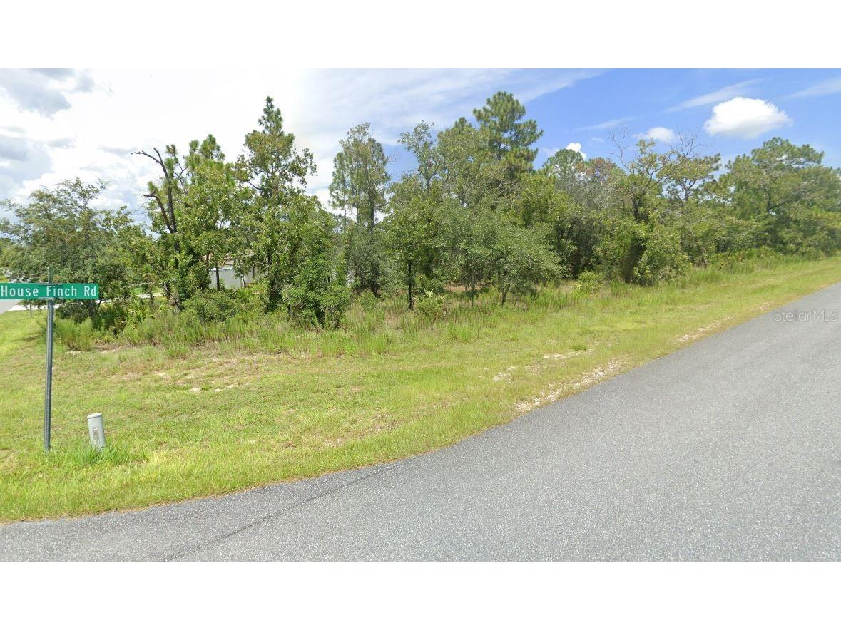 000 House Finch Road Weeki Wachee FL 34614 TB8415023 image1