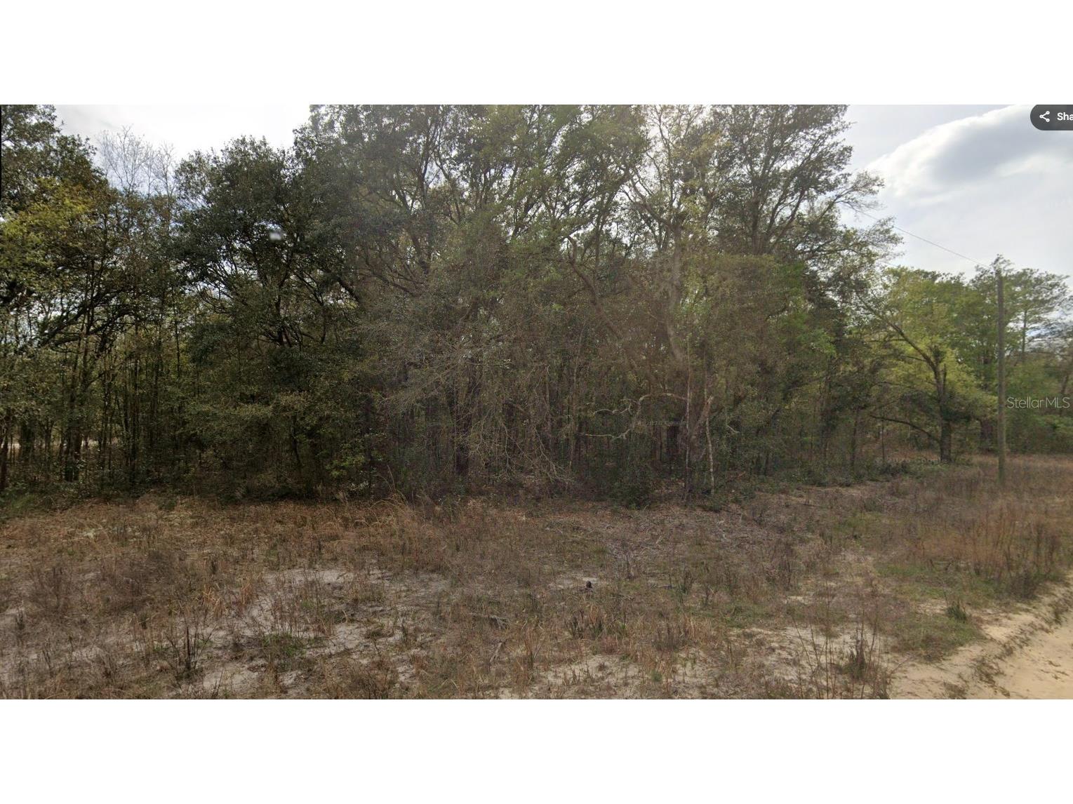 000 Jernigan Street Interlachen FL 32148 GC540356 image2