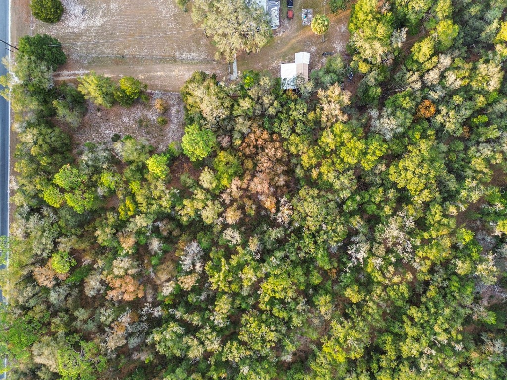 000 Keuka Road Interlachen FL 32148 OM711449 image14