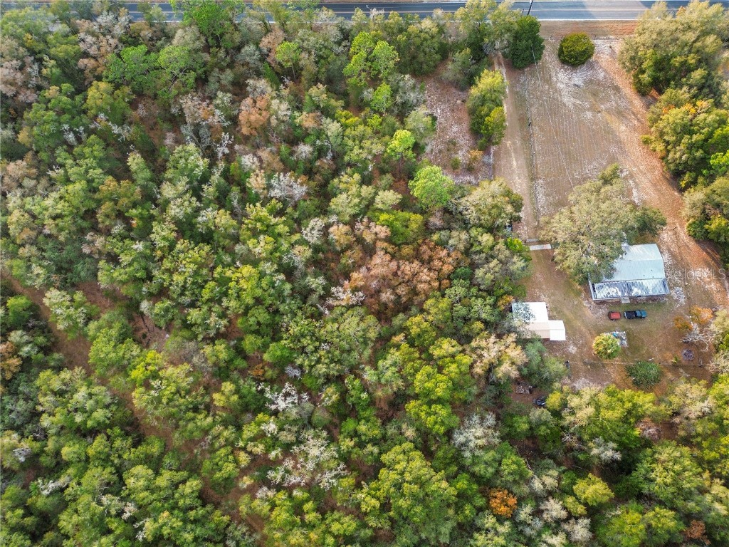 000 Keuka Road Interlachen FL 32148 OM711449 image15