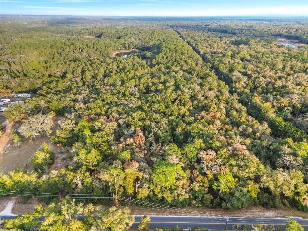 000 Keuka Road Interlachen FL 32148 OM711449 image5