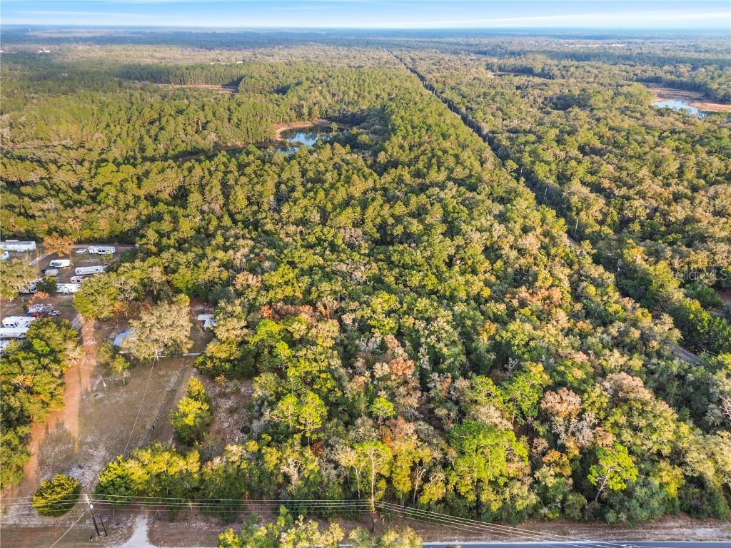 000 Keuka Road Interlachen FL 32148 OM711449 image9