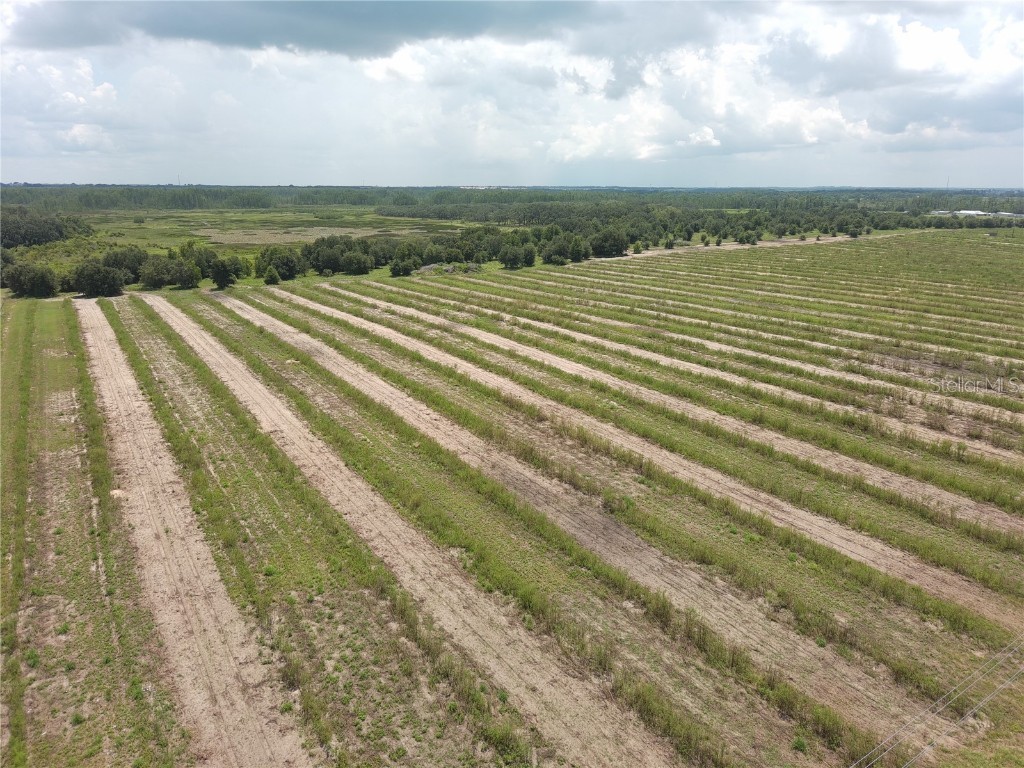 000 Kuder Ranch Road Haines City FL 33844 T3461719 image1