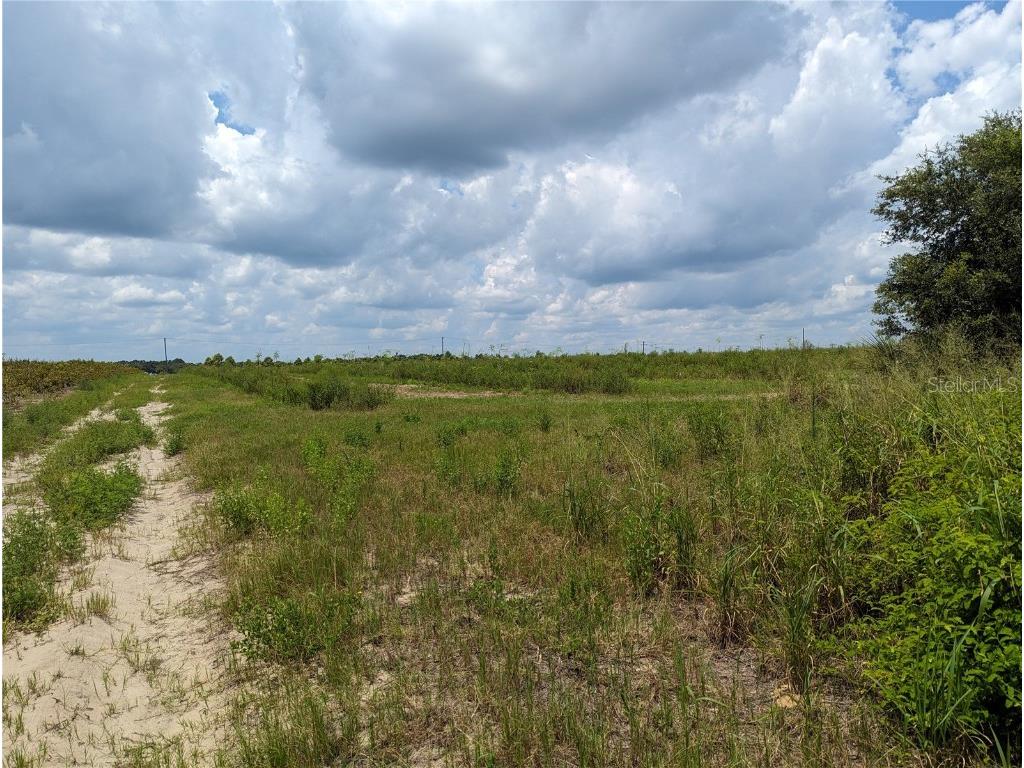 000 Kuder Ranch Road Haines City FL 33844 T3461719 image13