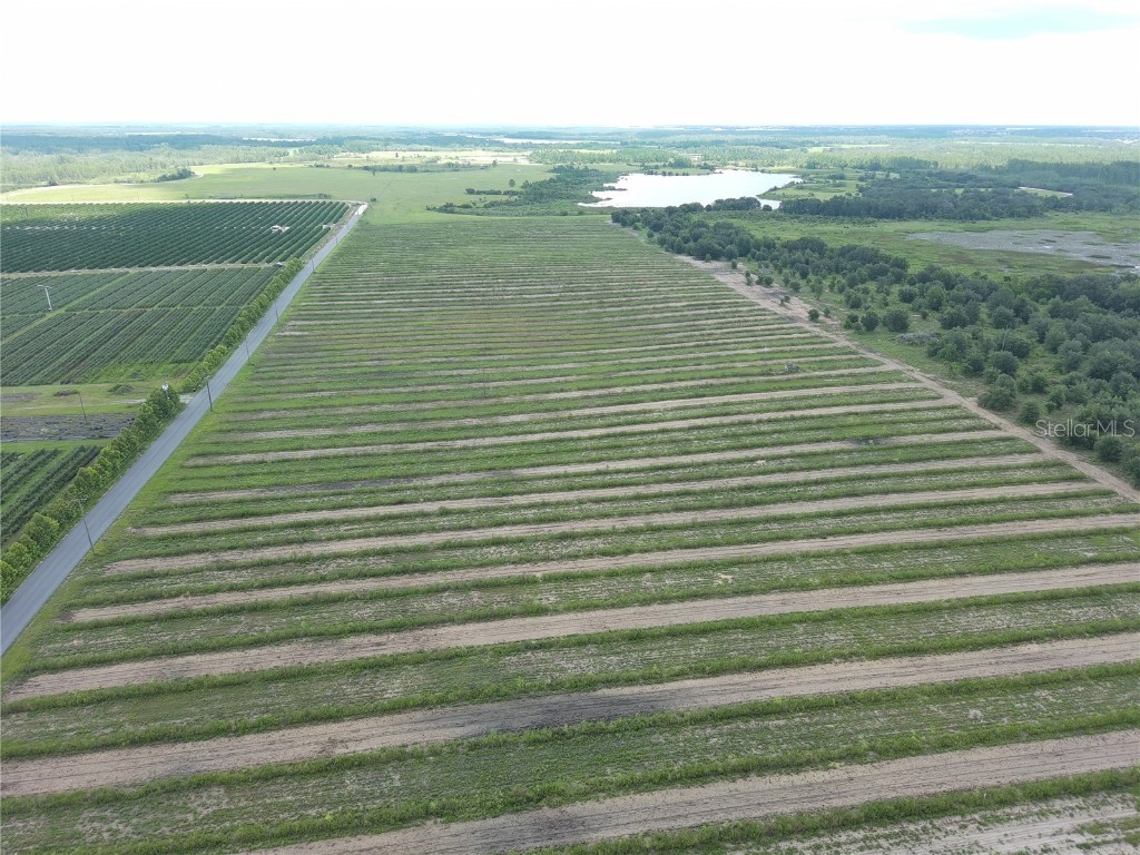 000 Kuder Ranch Road Haines City FL 33844 T3461719 image4