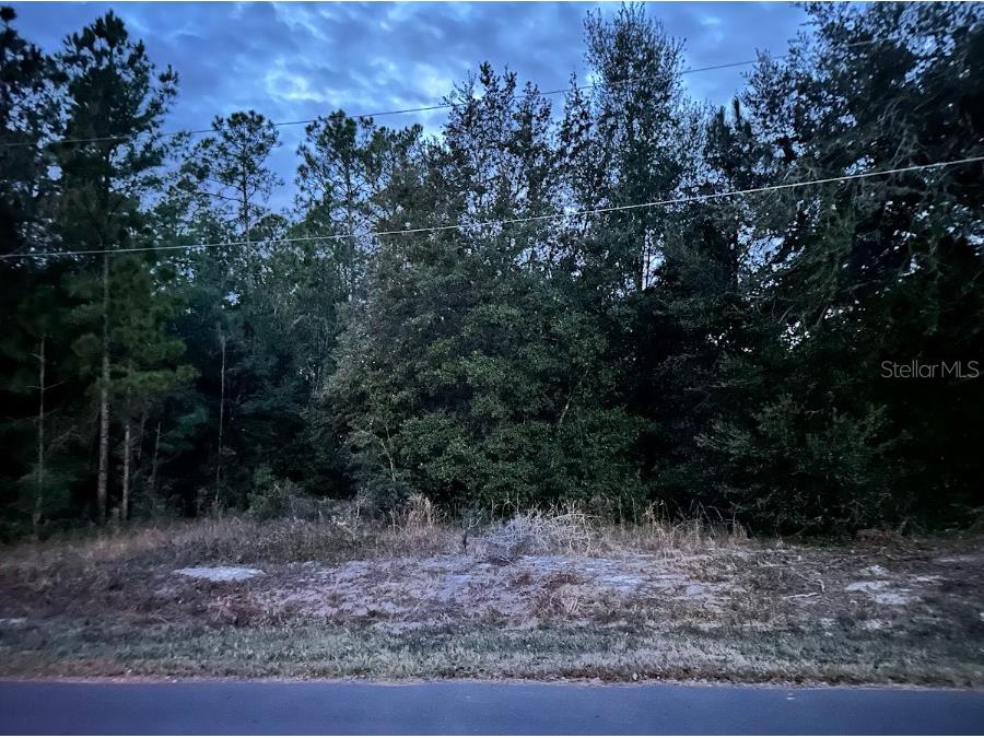 000 LOT 22 Locust Course Radial Ocala FL 34472 OM694917 image1