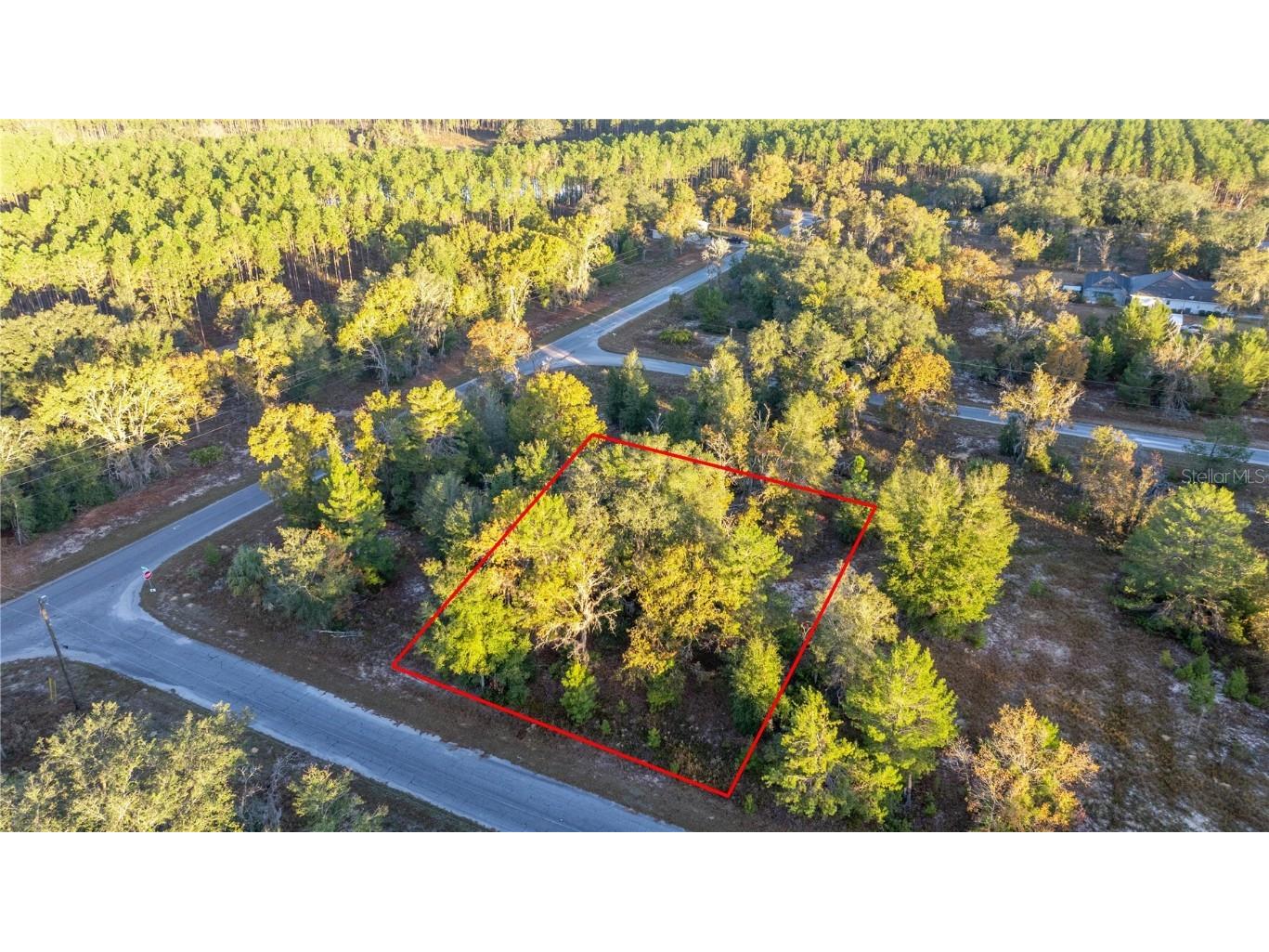 000 Malauka Loop Track Ocklawaha FL 32179 OM692576 image1