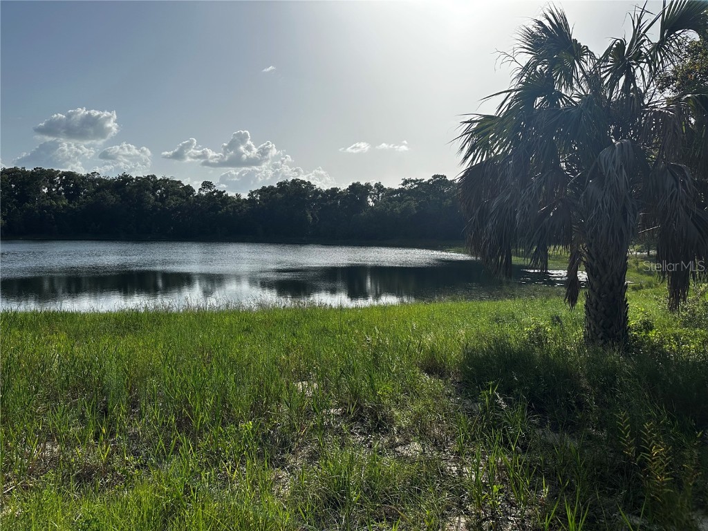 000 Malauka Lot 20 Loop Ocklawaha FL 32179 G5072374 image1