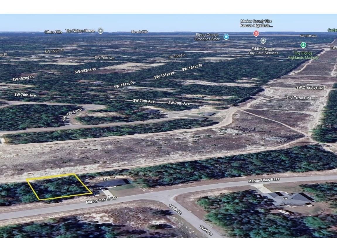 000 Marion Oaks Pass Ocala FL 34473 OM694144 image12