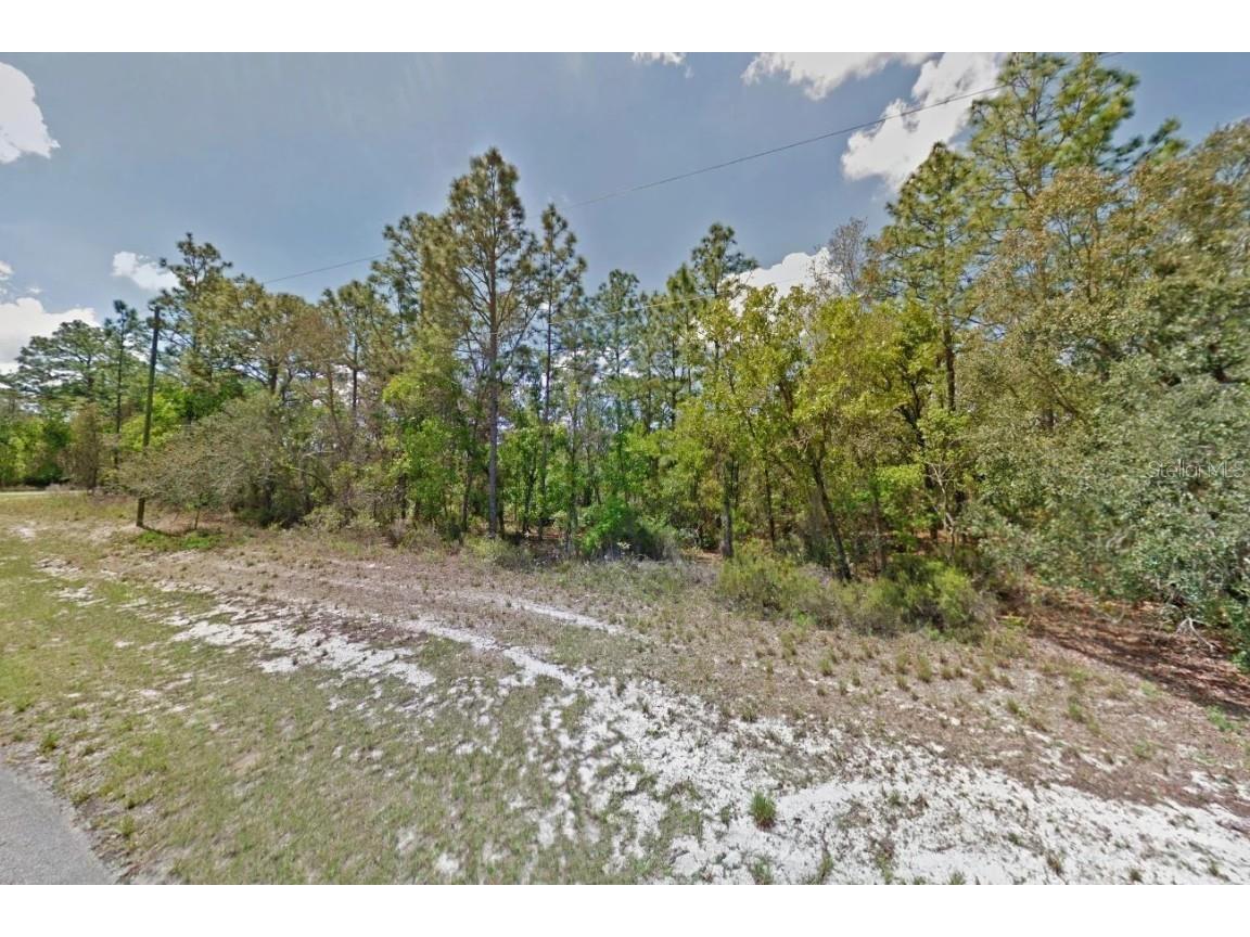 000 Marion Oaks Pass Ocala FL 34473 OM694144 image3