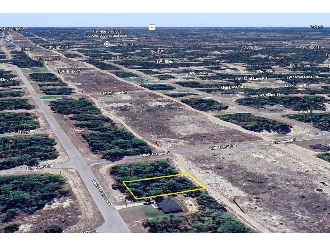 000 Marion Oaks Pass Ocala FL 34473 OM694144 image8