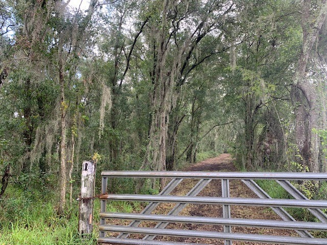 000 Mcintosh Road Thonotosassa FL 33592 T3463495 image1