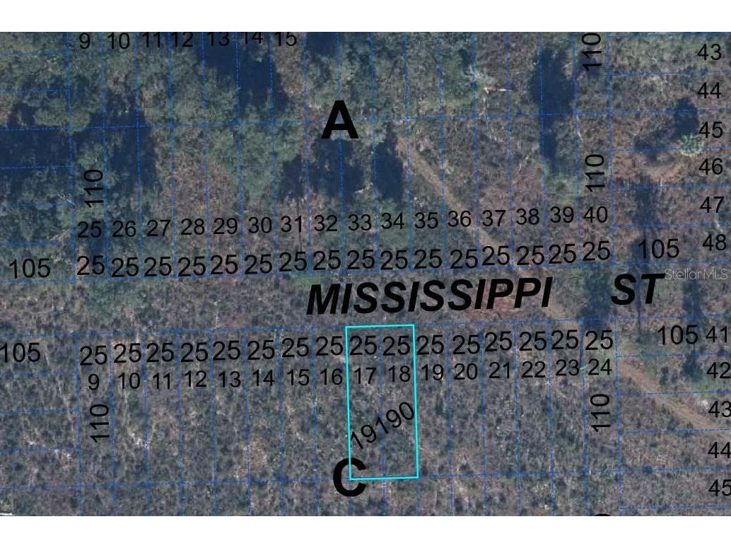 000 Mississippi Street Hawthorne FL 32640 A4683934 image1