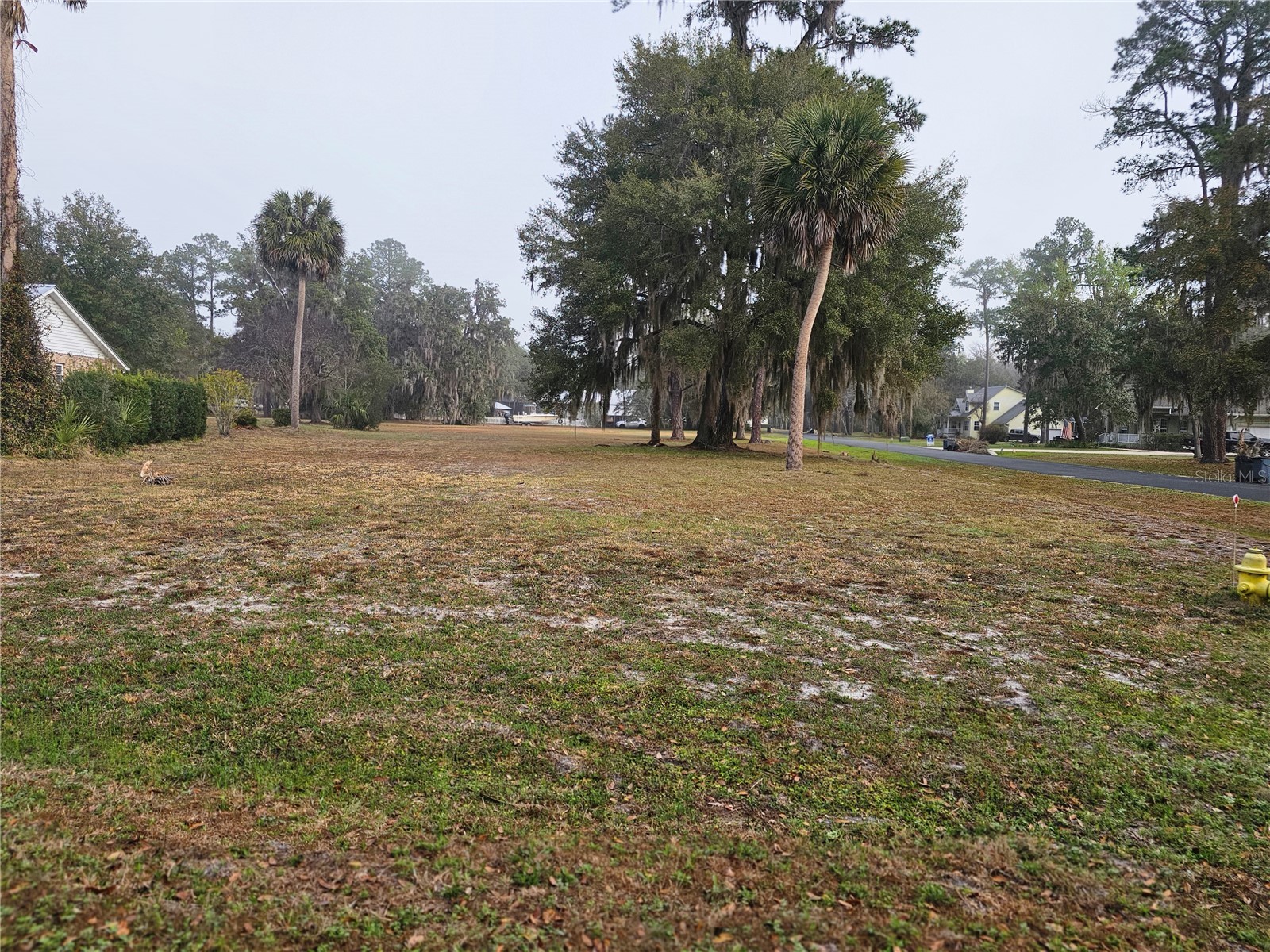 000 Mount Royal Avenue Crescent City FL 32112 FC316339 image2