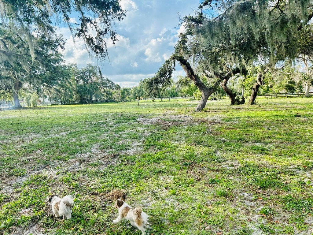 000 Myakka Road Sarasota FL 34240 A4533644 image1