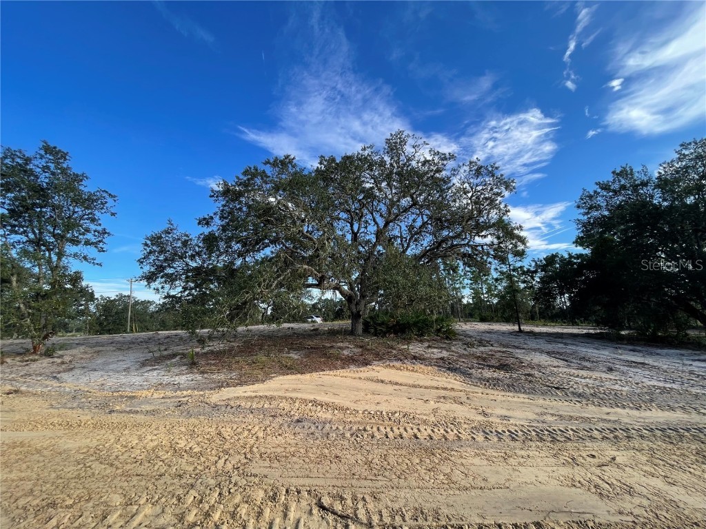 000 NE 100th Terrace Bronson FL 32621 GC525536 image1