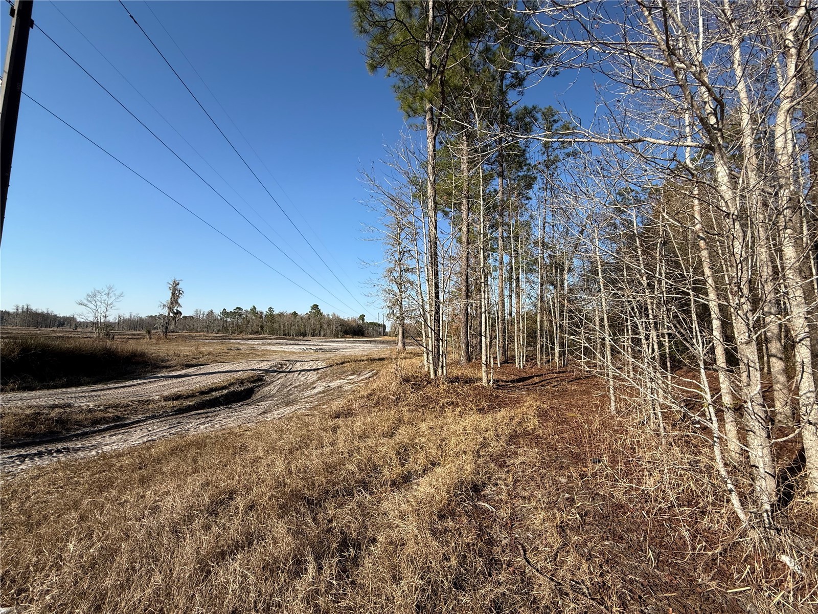 01 NE 126 Street Bronson FL 32621 - STATION POND GC537562 image14
