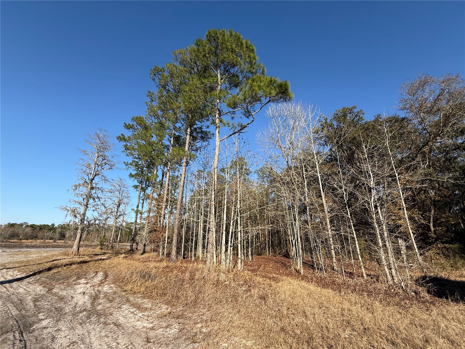 01 NE 126 Street Bronson FL 32621 - STATION POND GC537562 image15