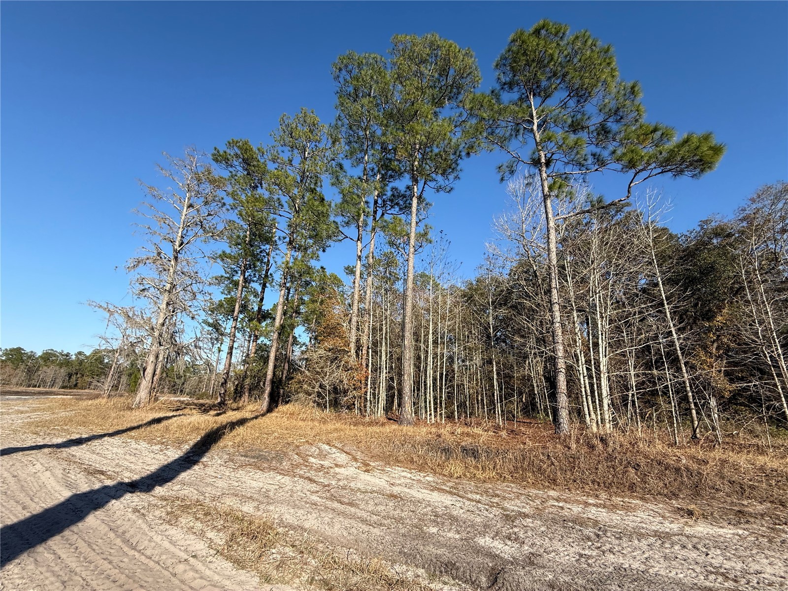 01 NE 126 Street Bronson FL 32621 - STATION POND GC537562 image16