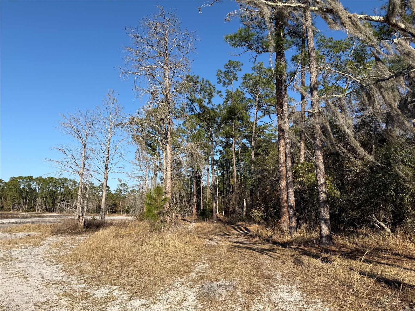 01 NE 126 Street Bronson FL 32621 - STATION POND GC537562 image17