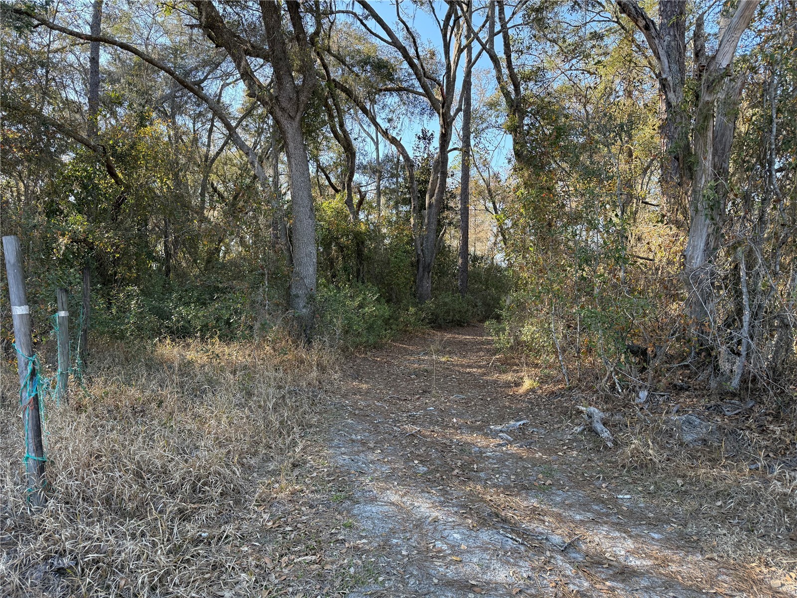 01 NE 126 Street Bronson FL 32621 - STATION POND GC537562 image2