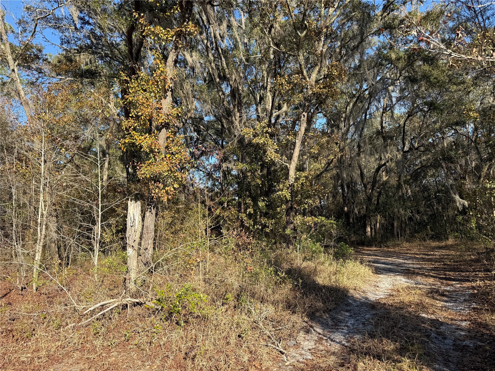 01 NE 126 Street Bronson FL 32621 - STATION POND GC537562 image7
