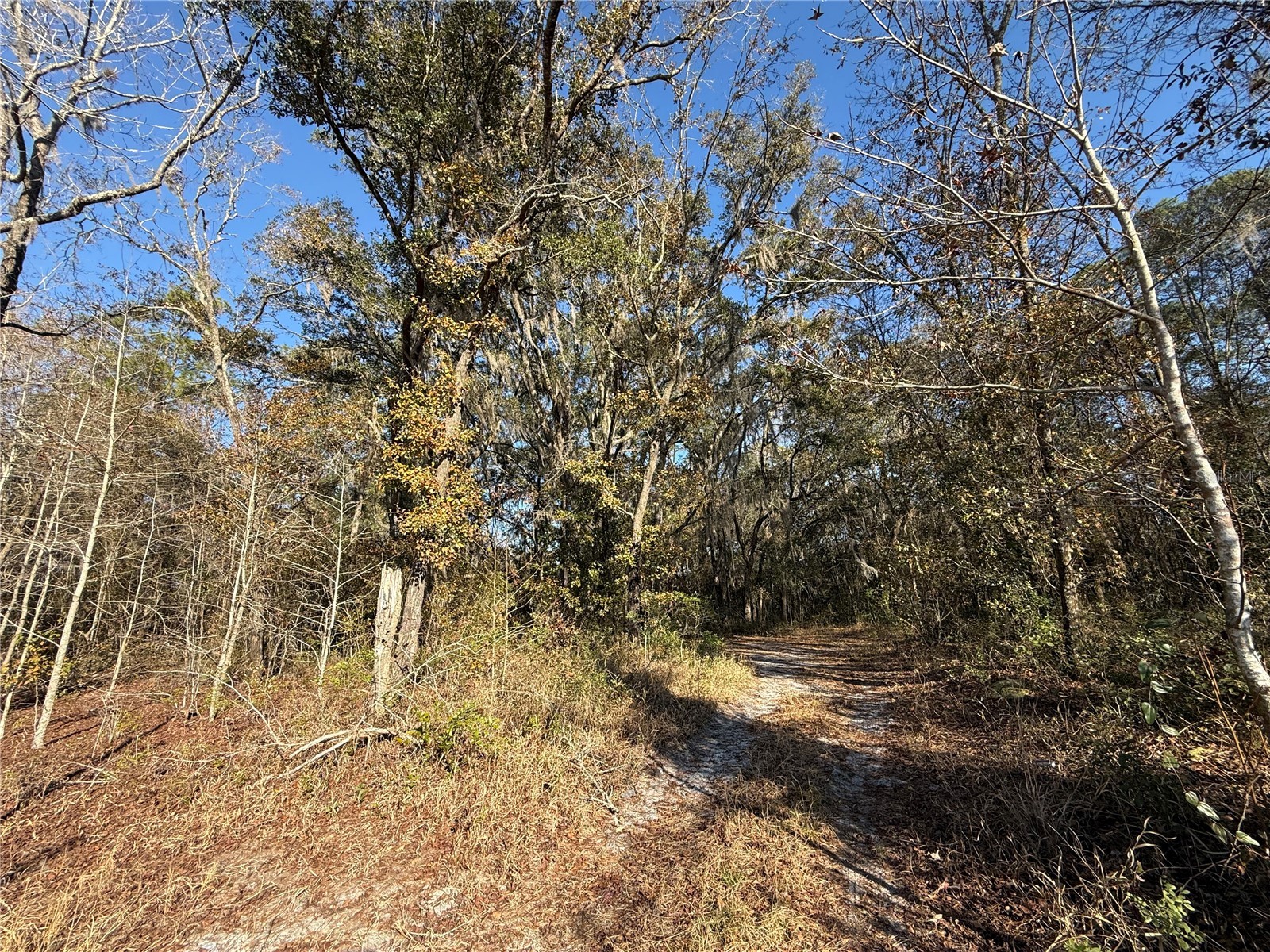 01 NE 126 Street Bronson FL 32621 - STATION POND GC537562 image8