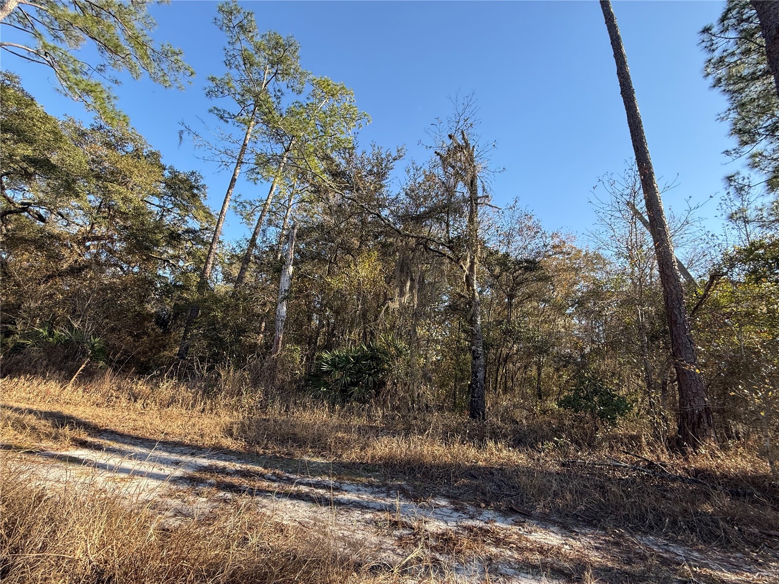 01 NE 126 Street Bronson FL 32621 - STATION POND GC537562 image9