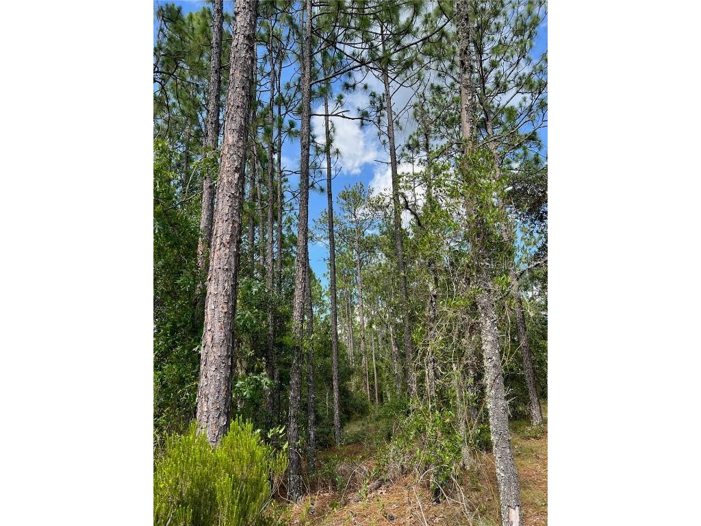 000 NE 138 Avenue Williston FL 32696 OM703616 image1