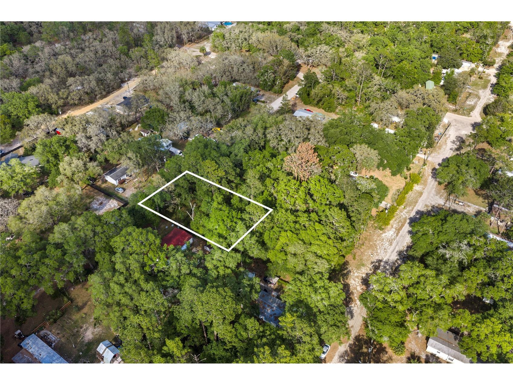 000 NE 153 Street Fort Mc Coy FL 32134 OM723070 image17