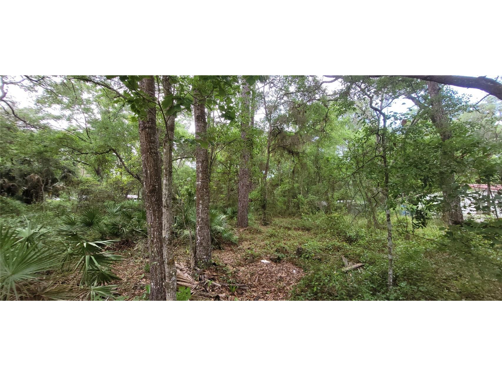 000 NE 153rd Street Fort Mc Coy FL 32134 OM677053 image2