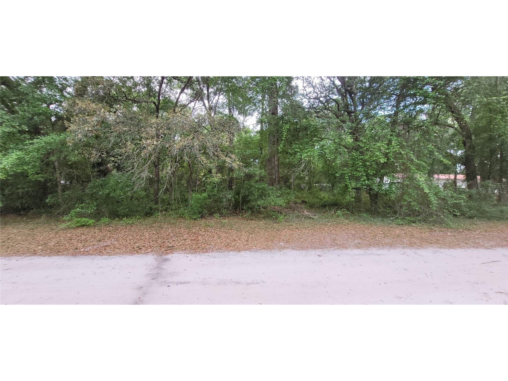 000 NE 153rd Street Fort Mc Coy FL 32134 OM677053 image3