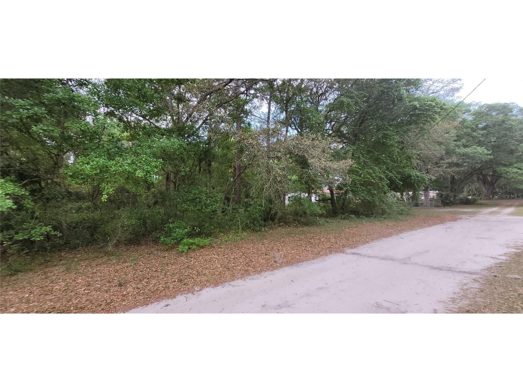 000 NE 153rd Street Fort Mc Coy FL 32134 OM677053 image4